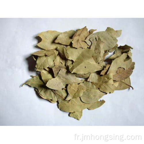 100g de feuilles de laurier assorties